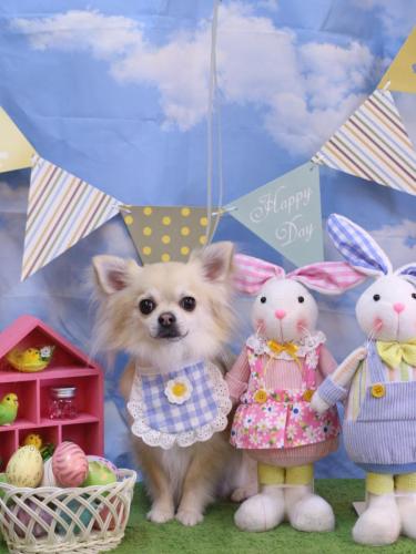 20240317とわくん